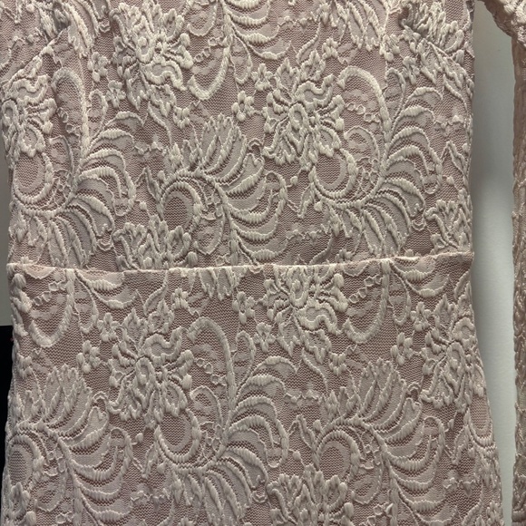 NWT Light Pink Lace Bodycon Mini Dress. - Picture 3 of 11